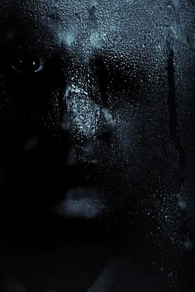 The Witch in the Window