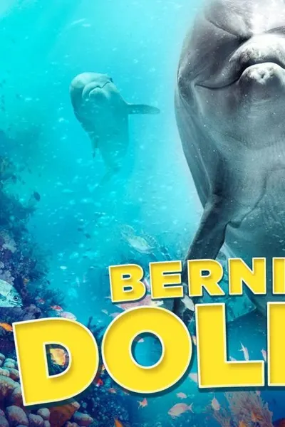Bernie the Dolphin