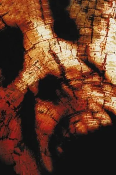 Book of Shadows: Blair Witch 2