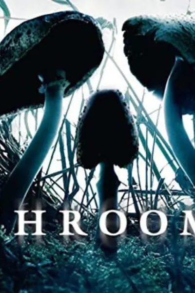 Shrooms