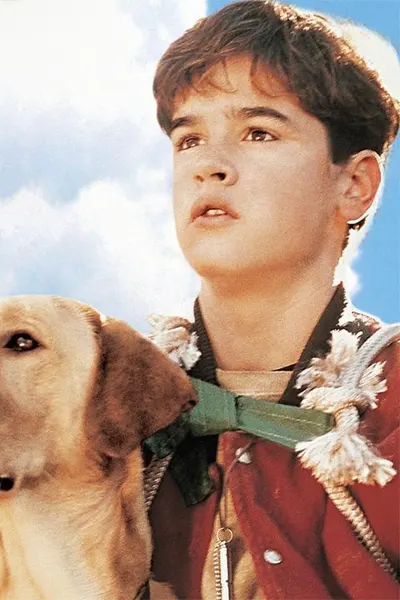 Far from Home: The Adventures of Yellow Dog