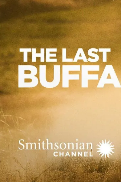 The Last Buffalo