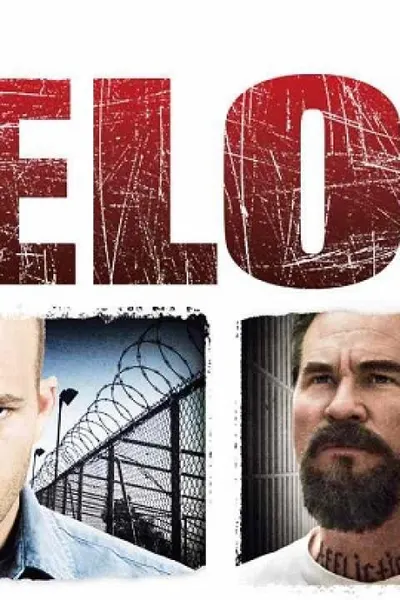 Felon