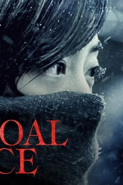 Black Coal, Thin Ice