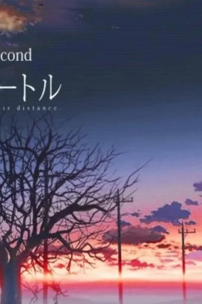 5 Centimeters per Second