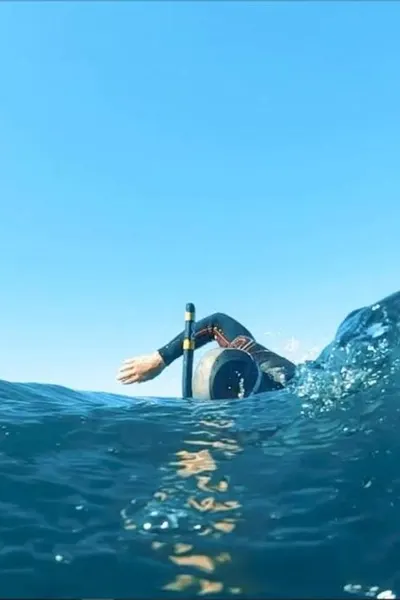 The Swim
