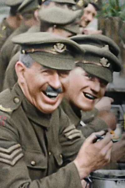 They Shall Not Grow Old