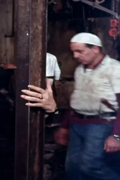 السلخانة