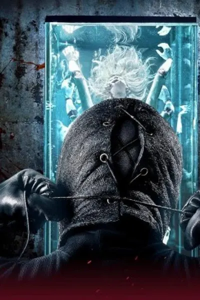 The Collector