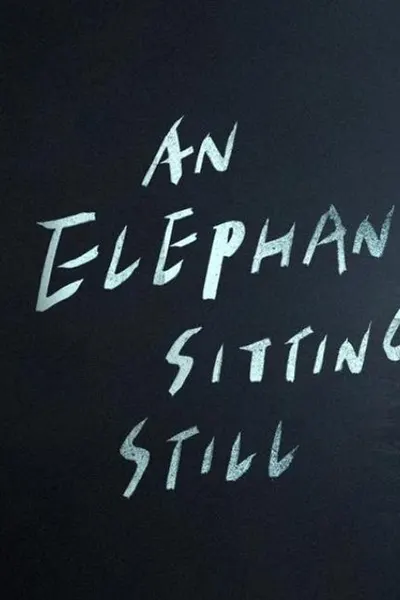 An Elephant Sitting Still