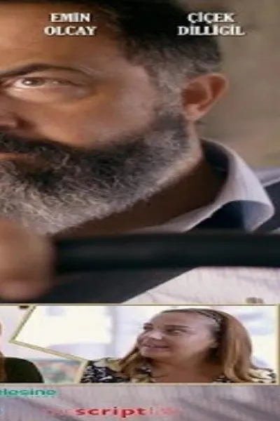 المصدر