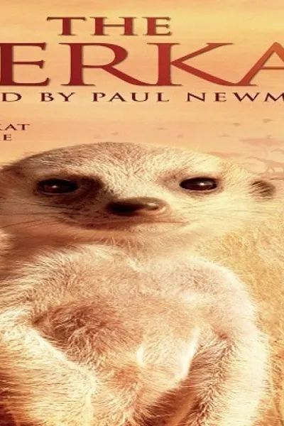 The Meerkats