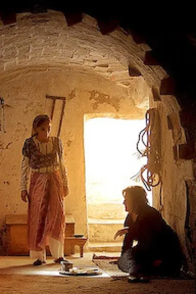 الجايدة