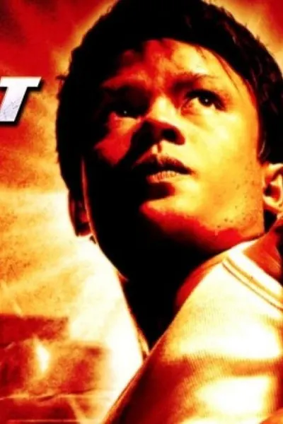 Born to Fight